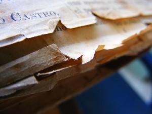 biblioteca 240 copy.jpg